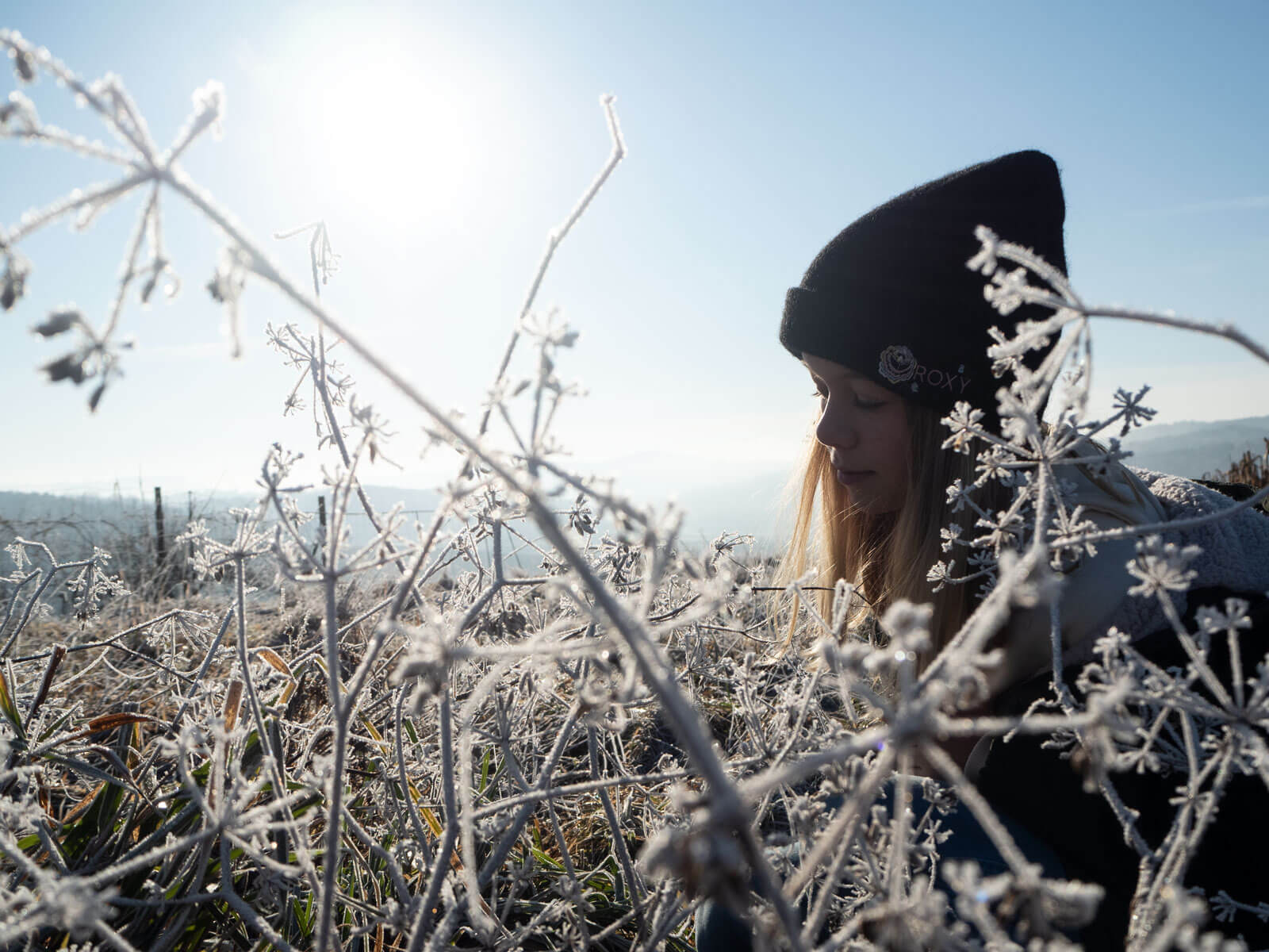 naturphotography, Naturfotografie, Porträt, Frost, Morgensonne, Schein, Winter, Kälte