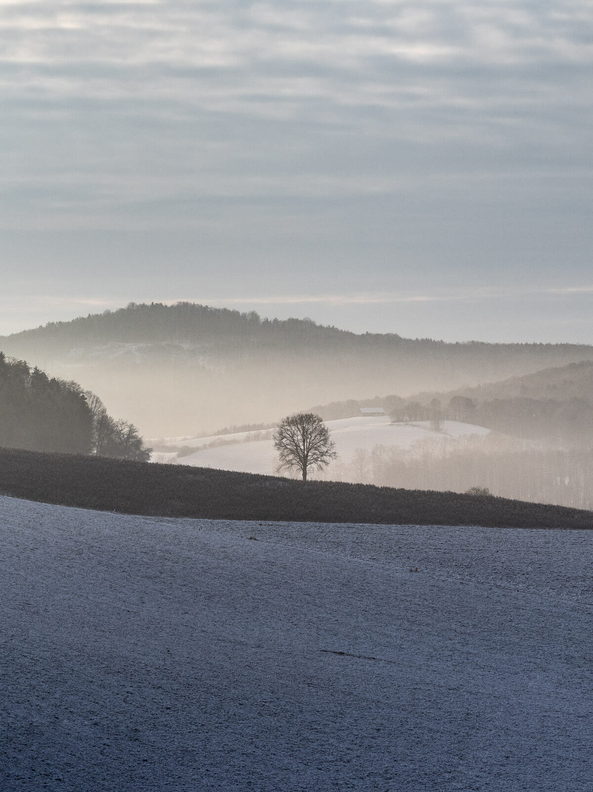 Naturphotography, Naturfotografie, Landschaft, Frost, Morgensonne, Schein, Winter, Kälte