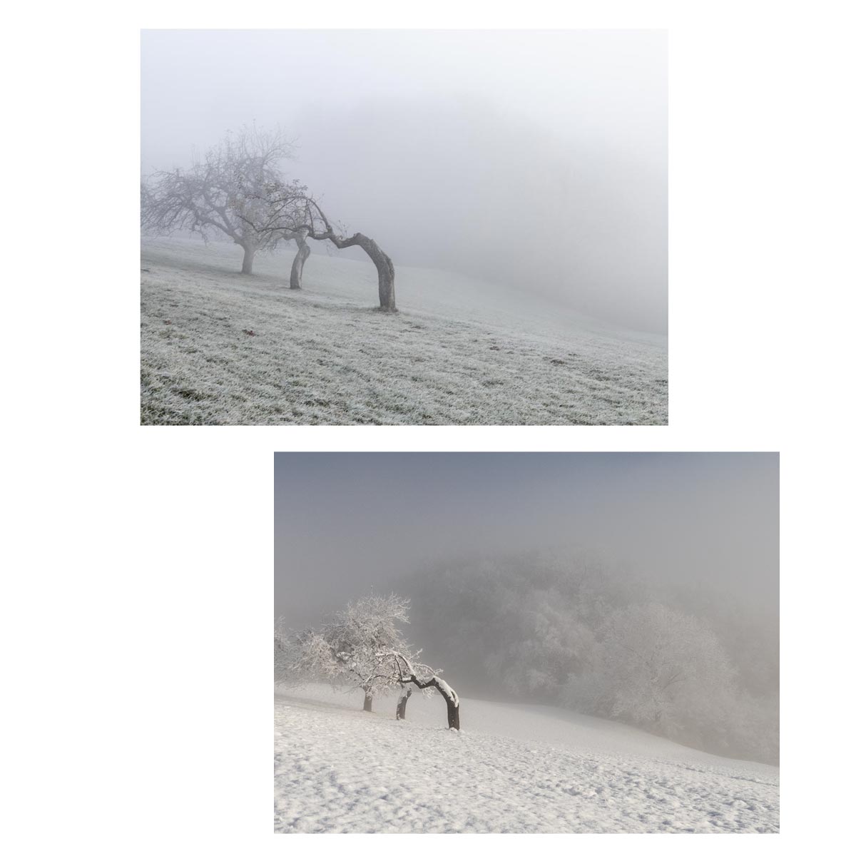 Landschaft Fotografie, Winter, Schnee, Frost, Nebel, steirisches Vulkanland, Kapfenstein, Feldbach, Südoststeiermark, Naturfotografie, 