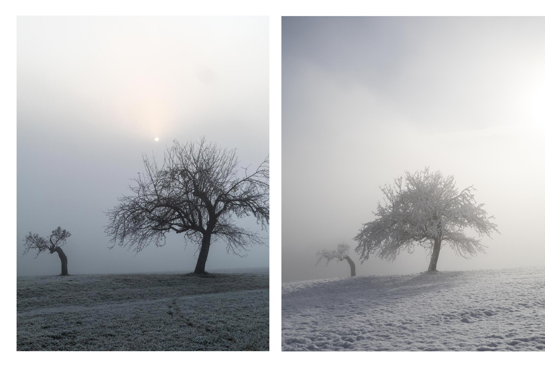 Landschaft Fotografie, Winter, Schnee, Frost, Nebel, steirisches Vulkanland, Kapfenstein, Feldbach, Südoststeiermark, Naturfotografie, Baum