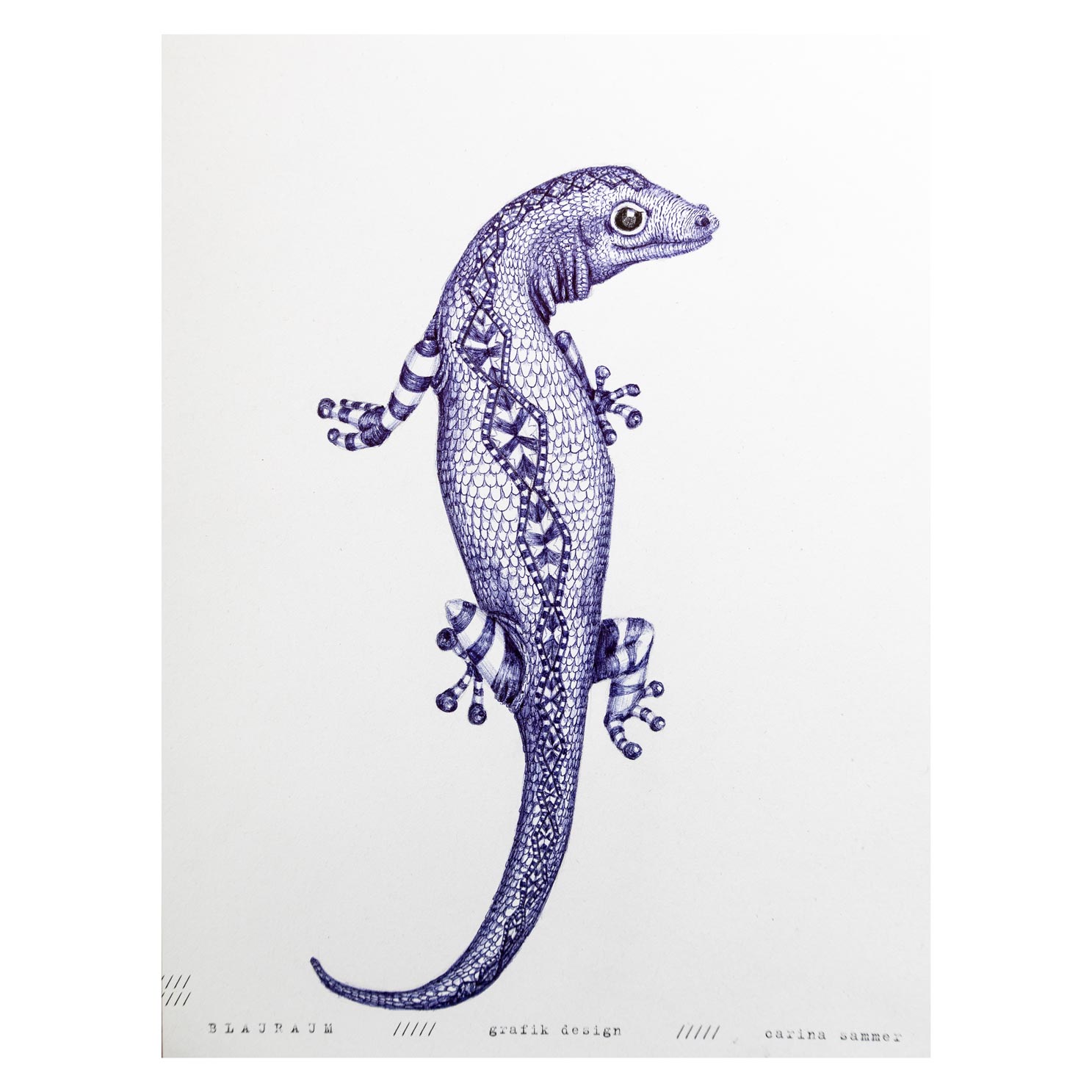 Kullitiere, Gecko, Illustration, Zeichnung, detail, Salamander, Reptil, Kugelschreiber, blau, Schuppen, Muster, Tier