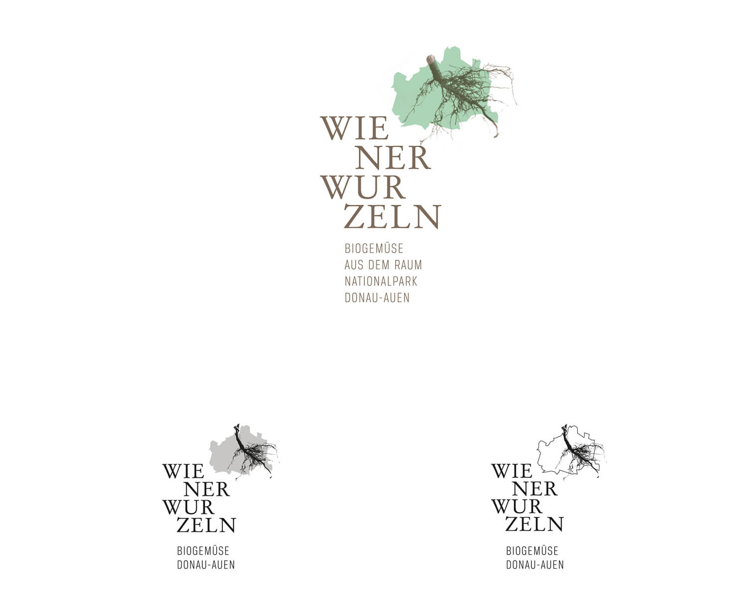 Wiener Wurzeln, Biogemüse, Donauauen, Wien, Corporate Design, Logo, Wortbildmarke, Werbung, Branding